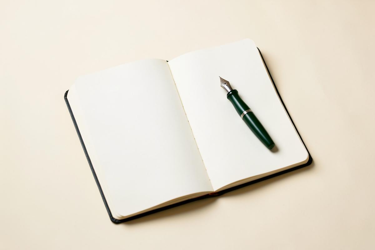 Capa do curso Essencial — Concursos Públicos da Professora Pamba